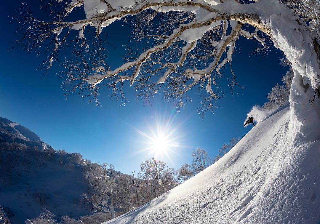 Friends on a Pow Day!