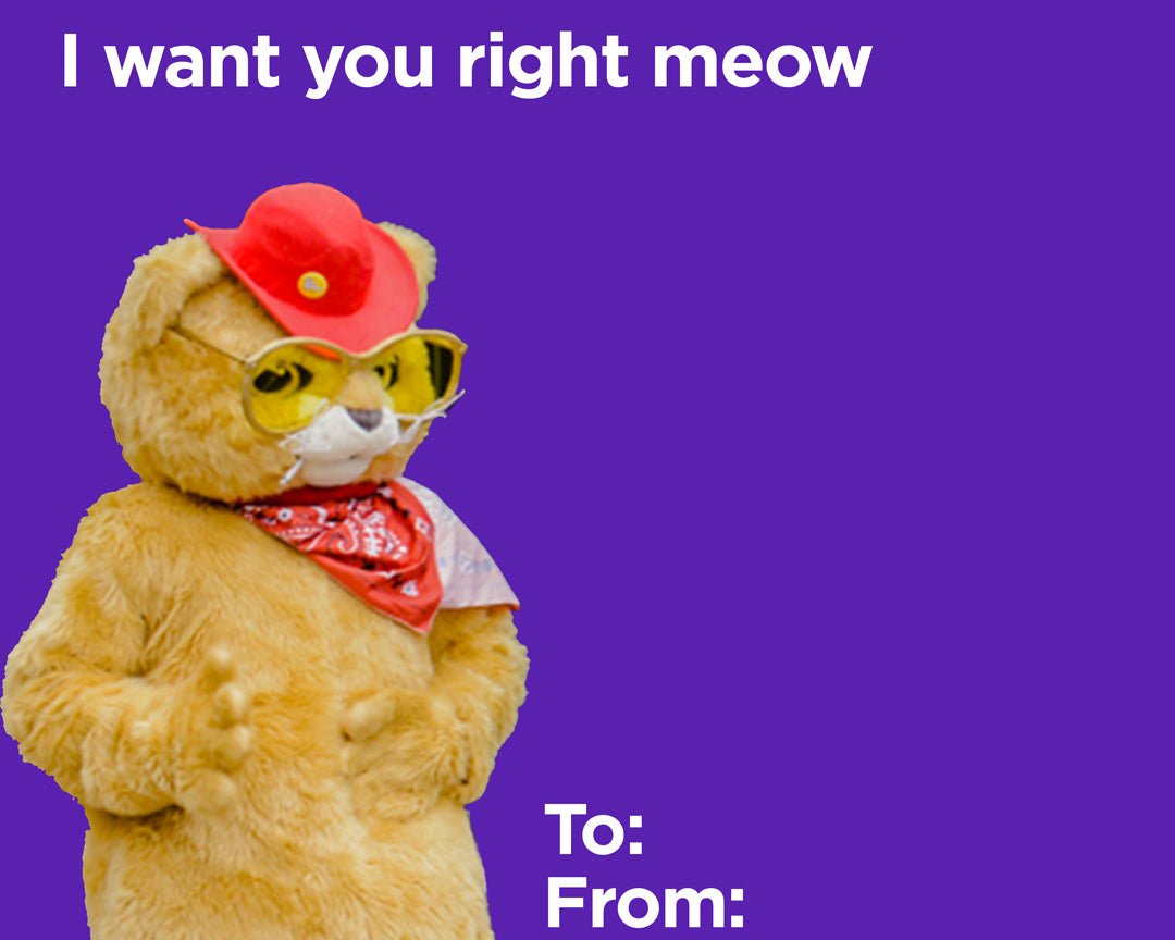 Cards for that special skier