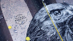 The Hotshot "HAWKEYE" Richey Beckett x J Collab Limited Edition Ski
