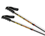 Wizard Staff Adjustable Ski Poles "Ski Fast"