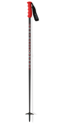 Javelin Ski Poles "Lodger"