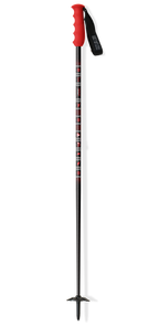 Javelin Ski Poles "Lodger"
