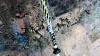 Wizard Staff Adjustable Ski Poles "White Lightning"