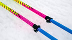 Wizard Staff Adjustable Ski Poles "Darth Fader"
