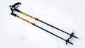 Wizard Staff Adjustable Ski Poles "Ski Fast"