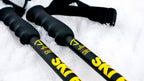 Wizard Staff Adjustable Ski Poles "Ski Fast"
