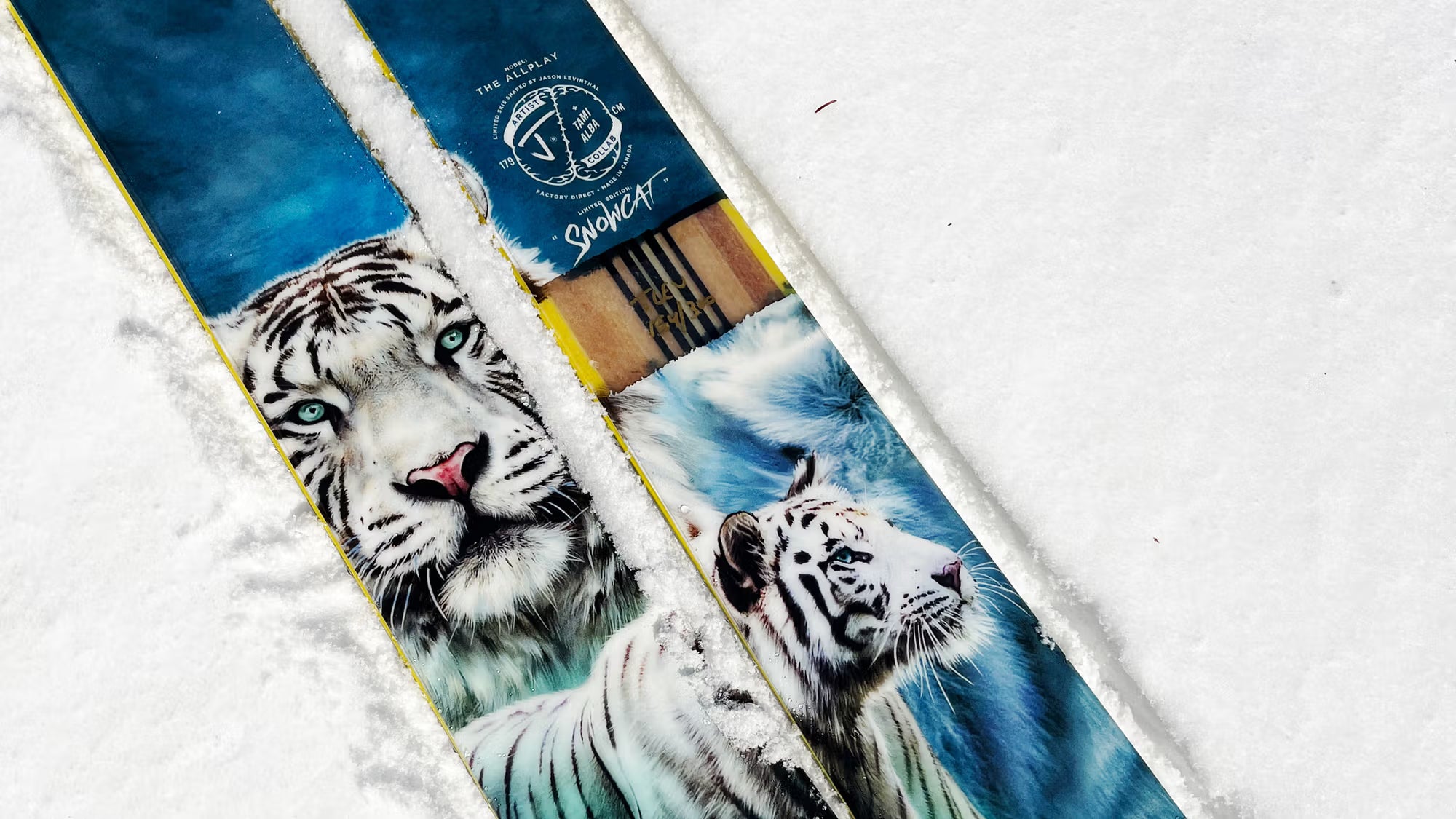 The Allplay "SNOWCAT" Tami Alba x J Collab Limited Edition Ski