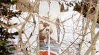 The Vacation "MALLARD" R.J. McDonald x J Collab Limited Edition Ski
