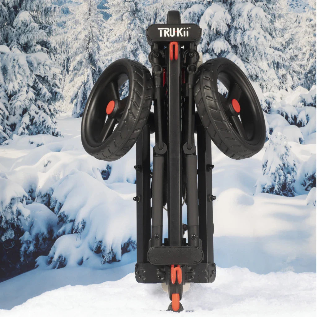 SKI TRAVEL SYSTEM