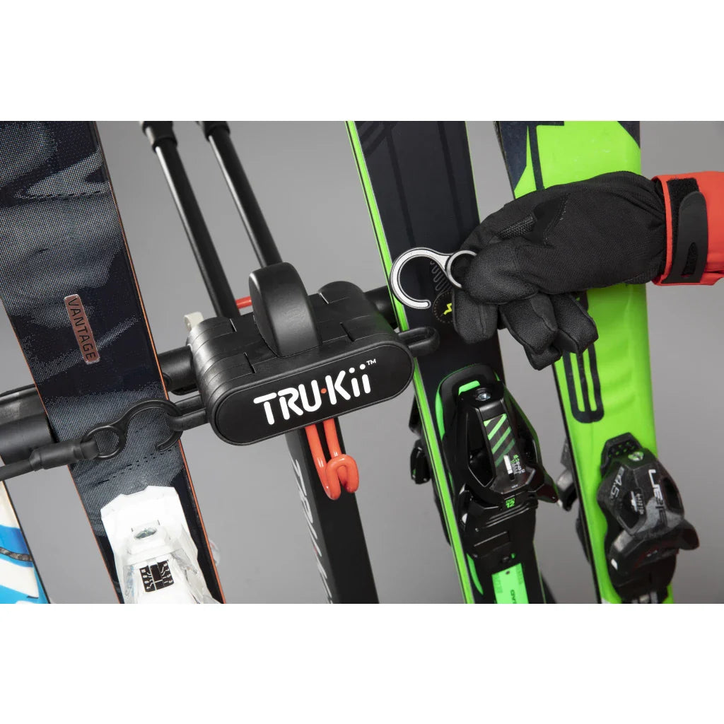SKI TRAVEL SYSTEM