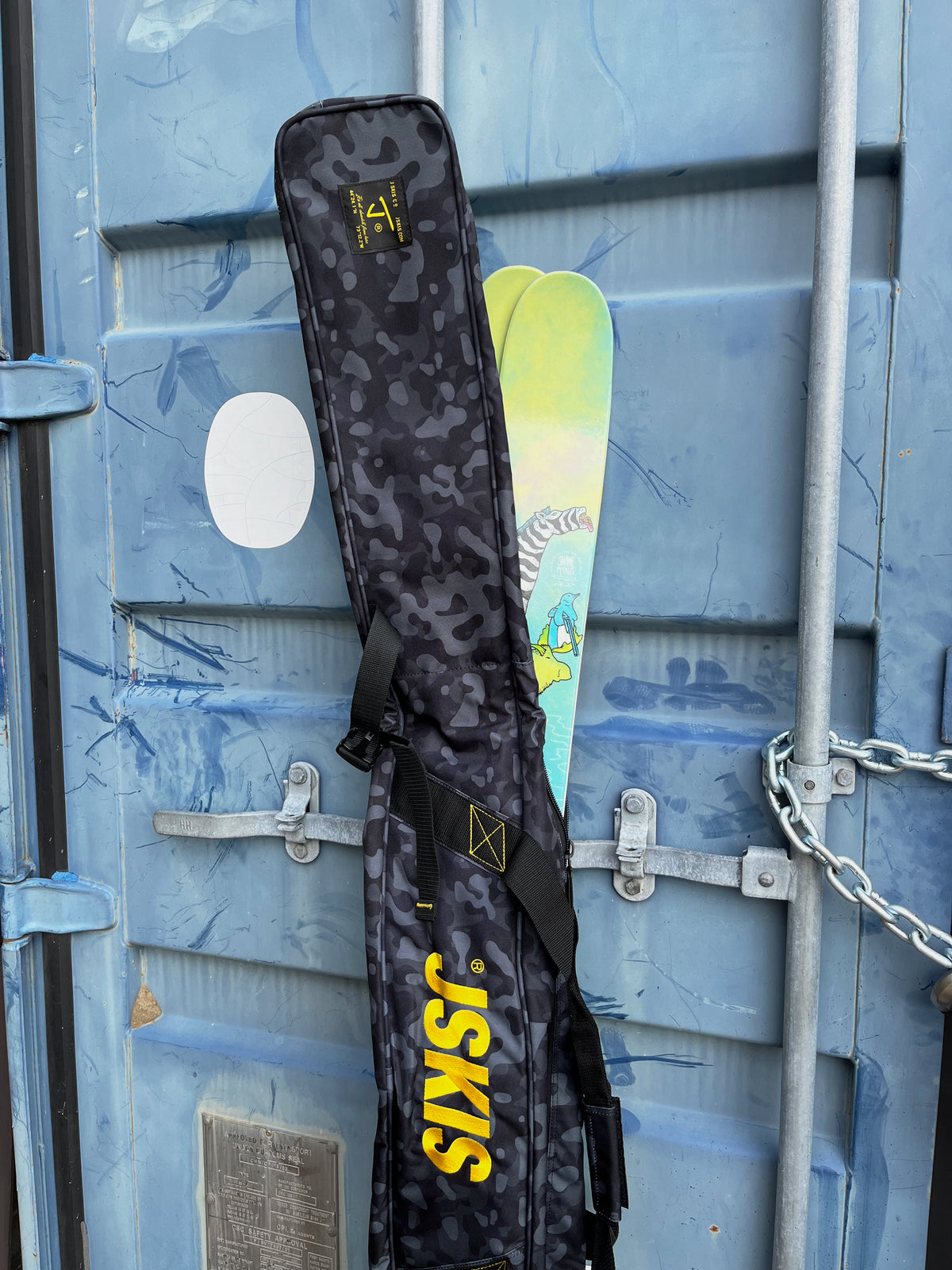 Ski Bag