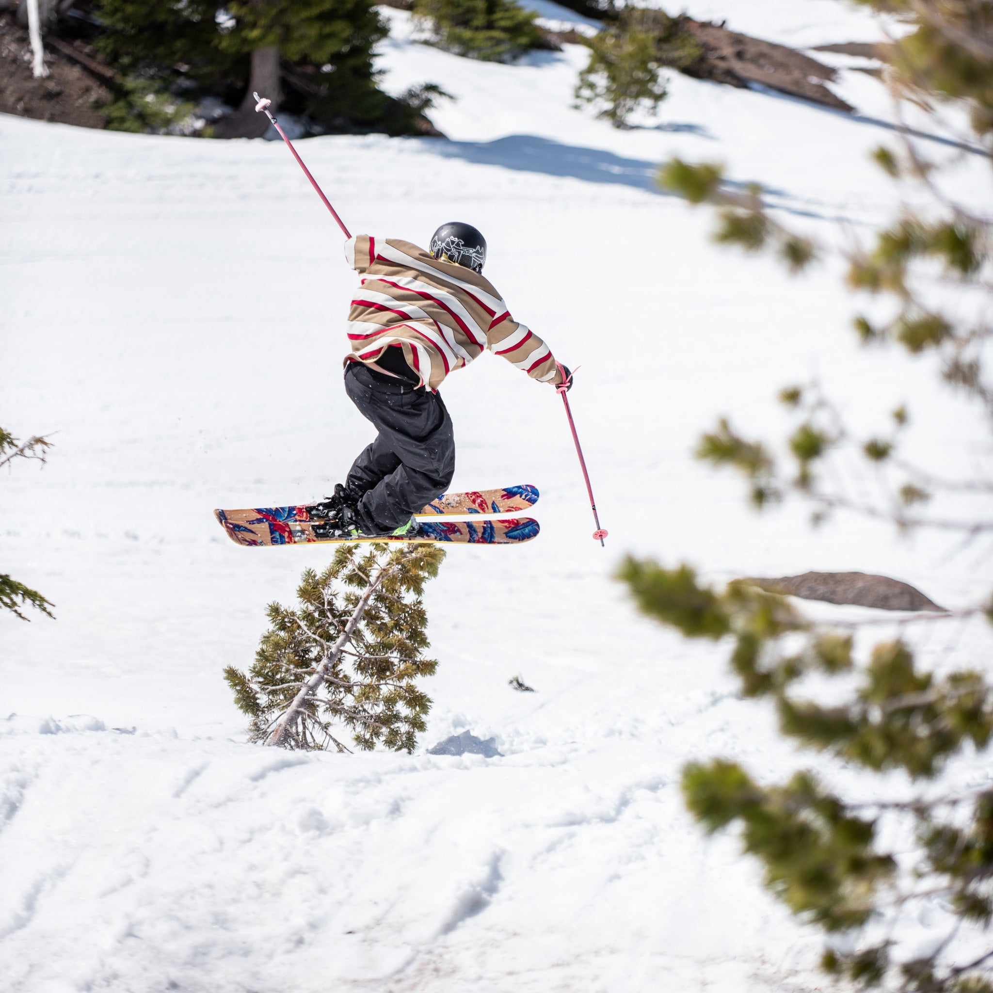 The Max "ALOHA" Limited Edition Ski