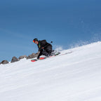 MASTERBLASTER "SURVIVOR" BLEMISH