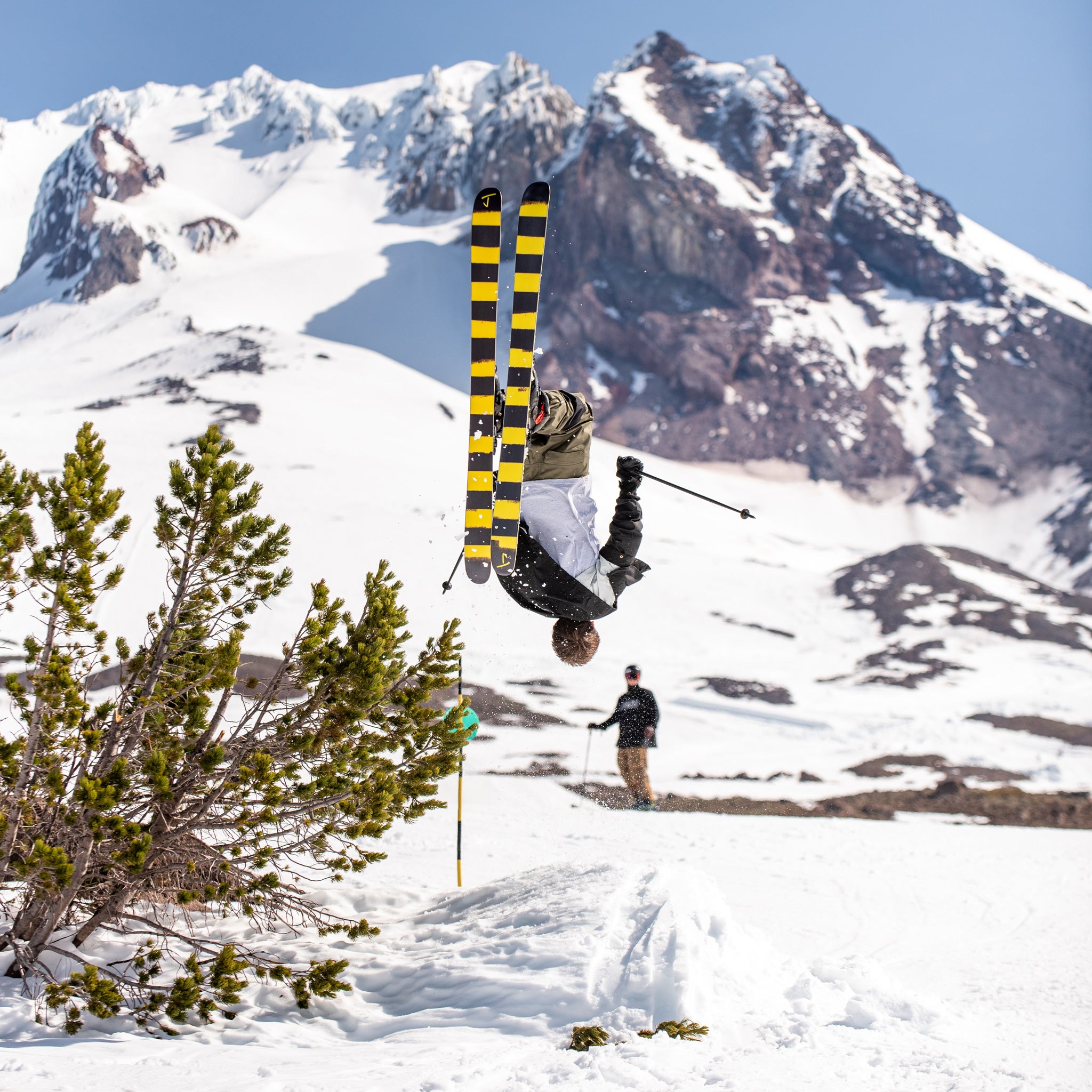 The Friend "HORNET" Limited Edition Ski