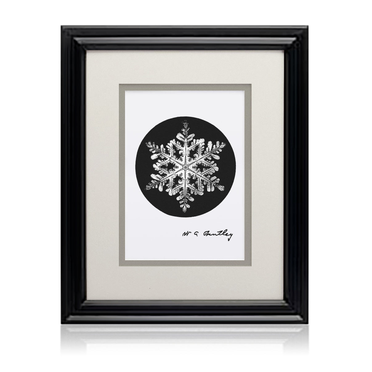 Snowflake Bentley Print