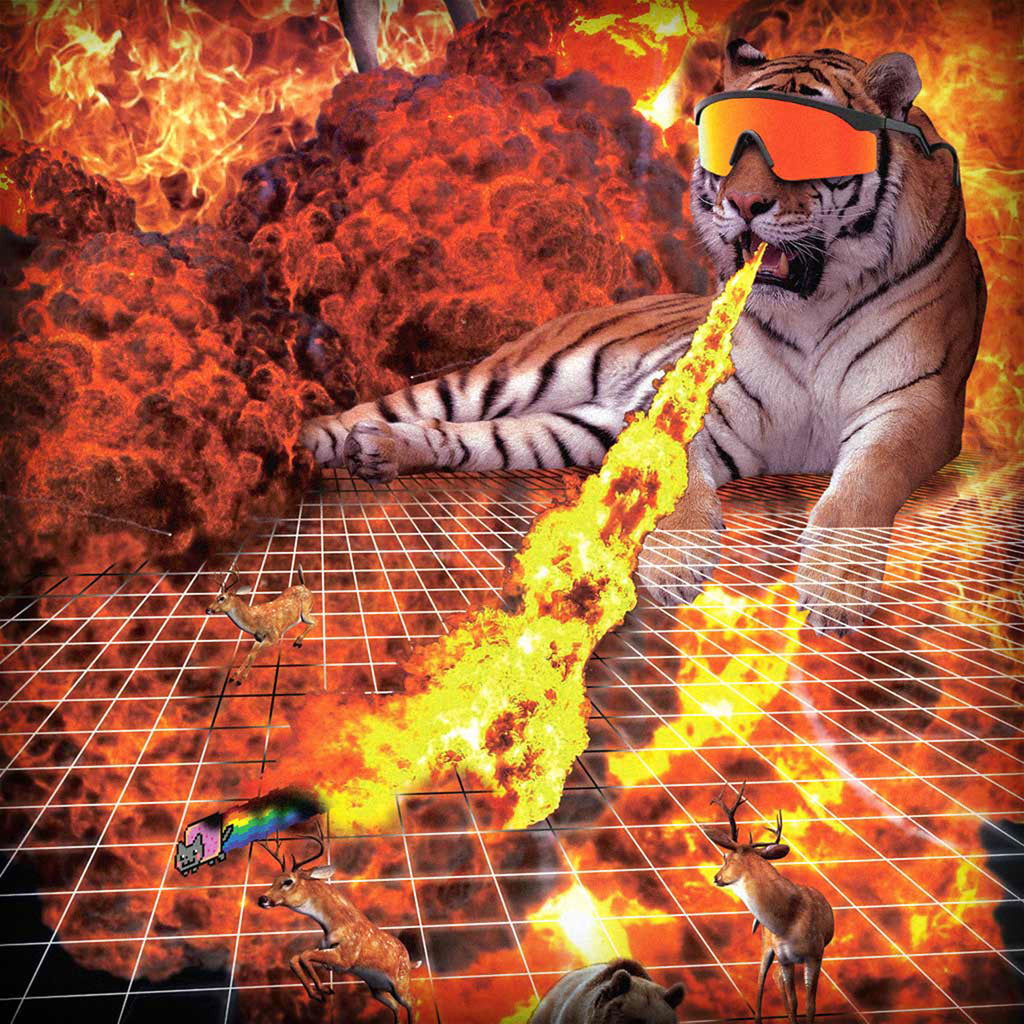 The Whipit "BOSS" Limited Edition Ski