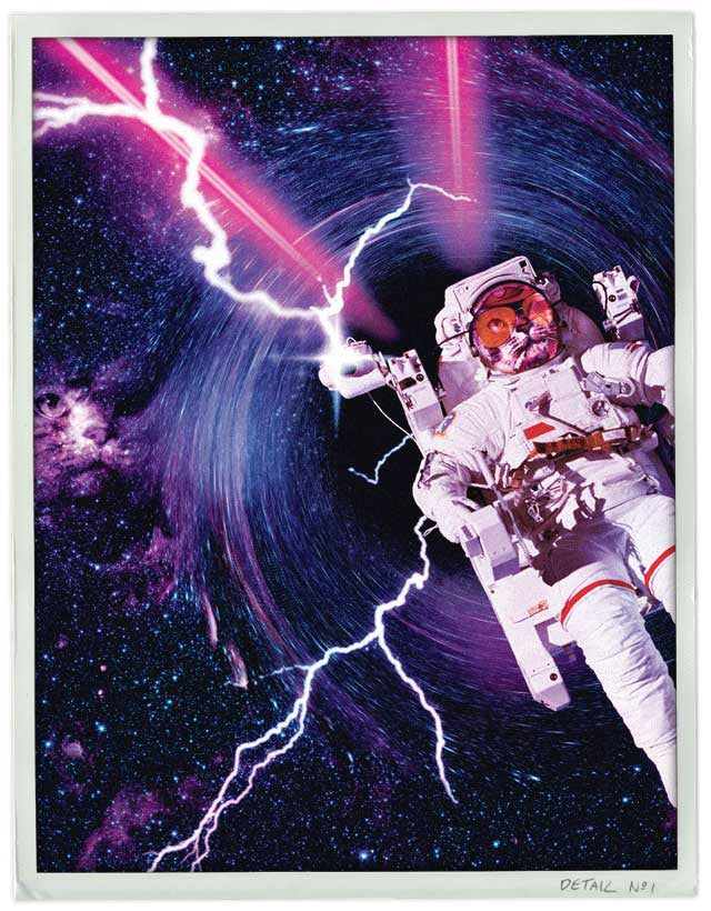 The Whipit "CATS IN SPACE" Limited Edition Ski