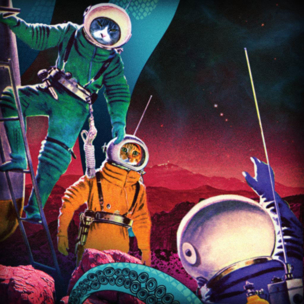 The Vacation "COSMIC OCTOPUS" Limited Edition Ski