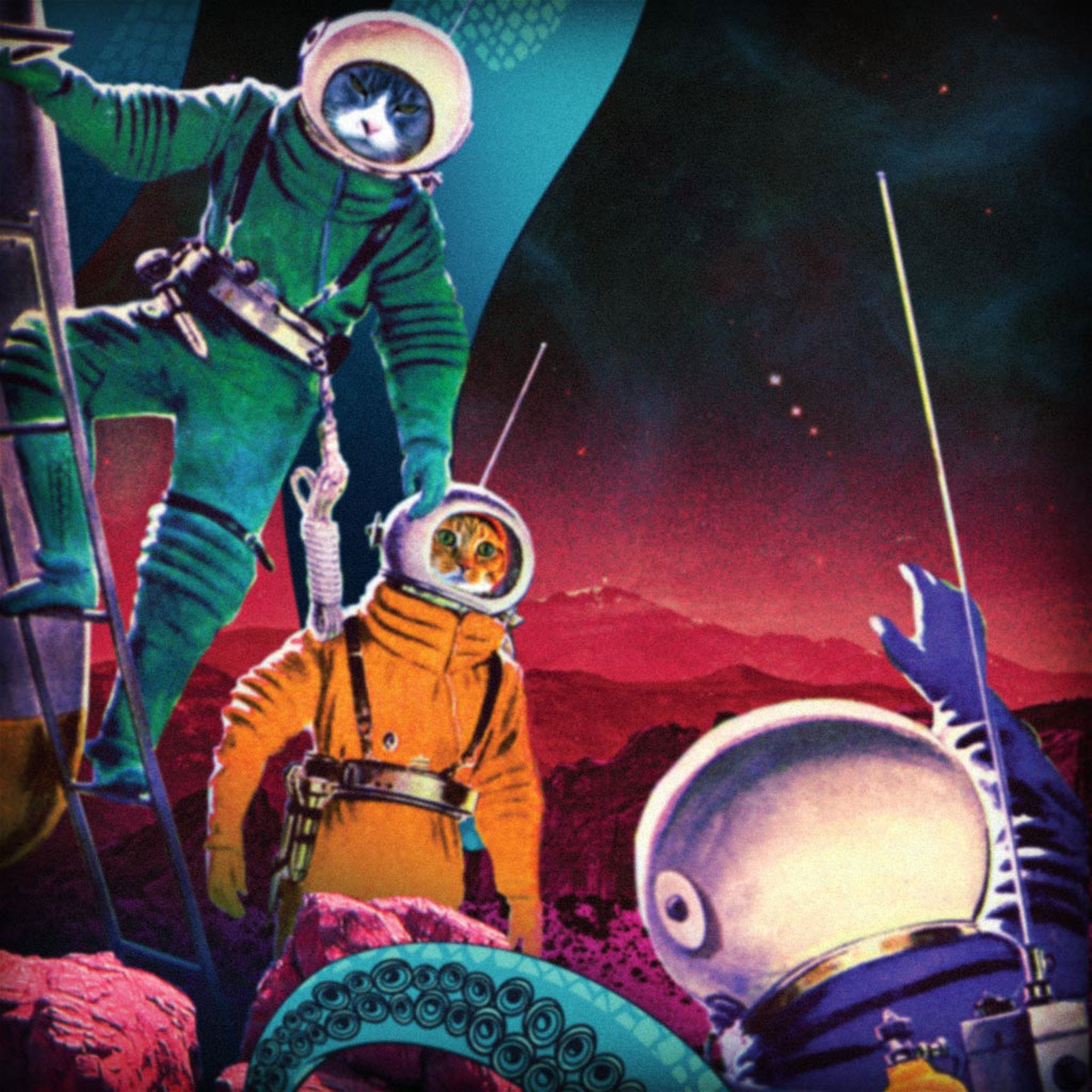 The Vacation "COSMIC OCTOPUS" Limited Edition Ski