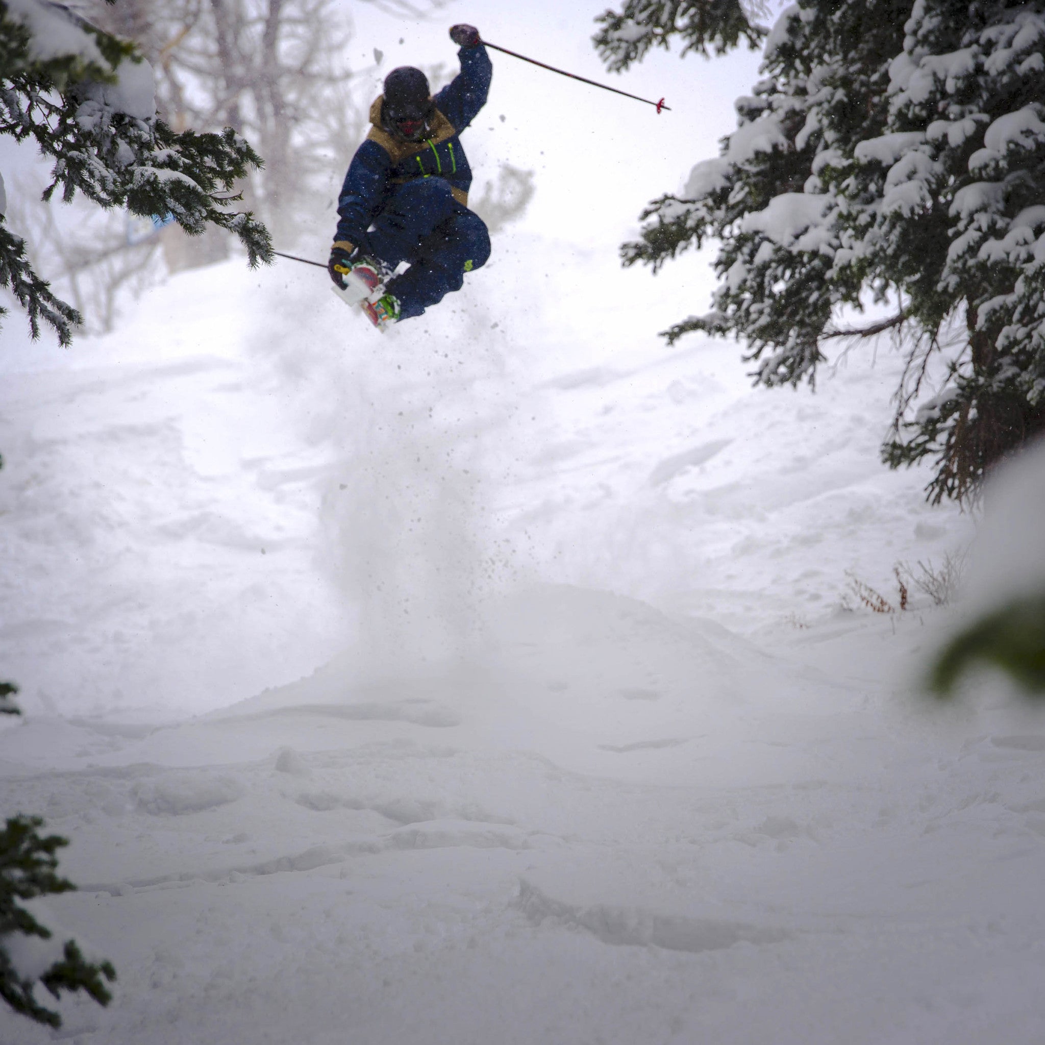 The Vacation "OCP" Limited Edition Ski