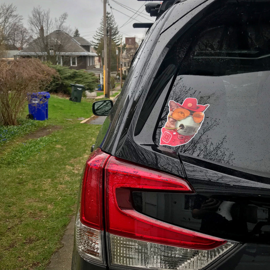 Cat Mask Sticker