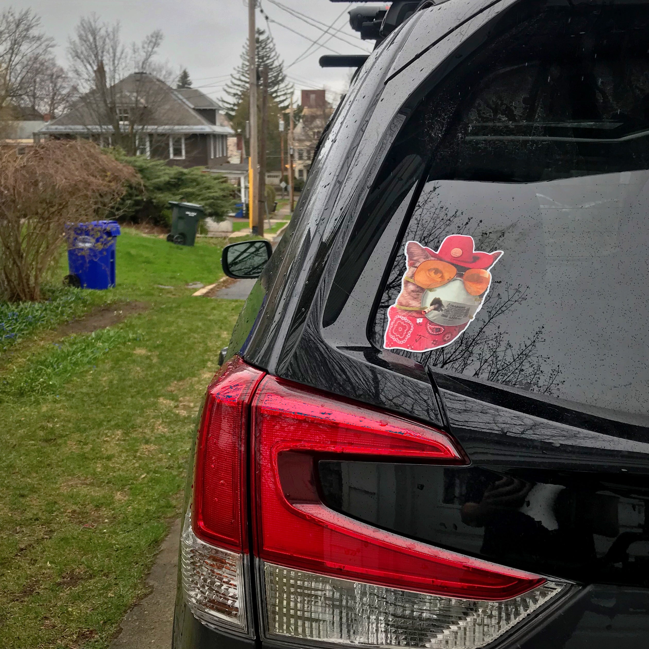 Cat Mask Sticker