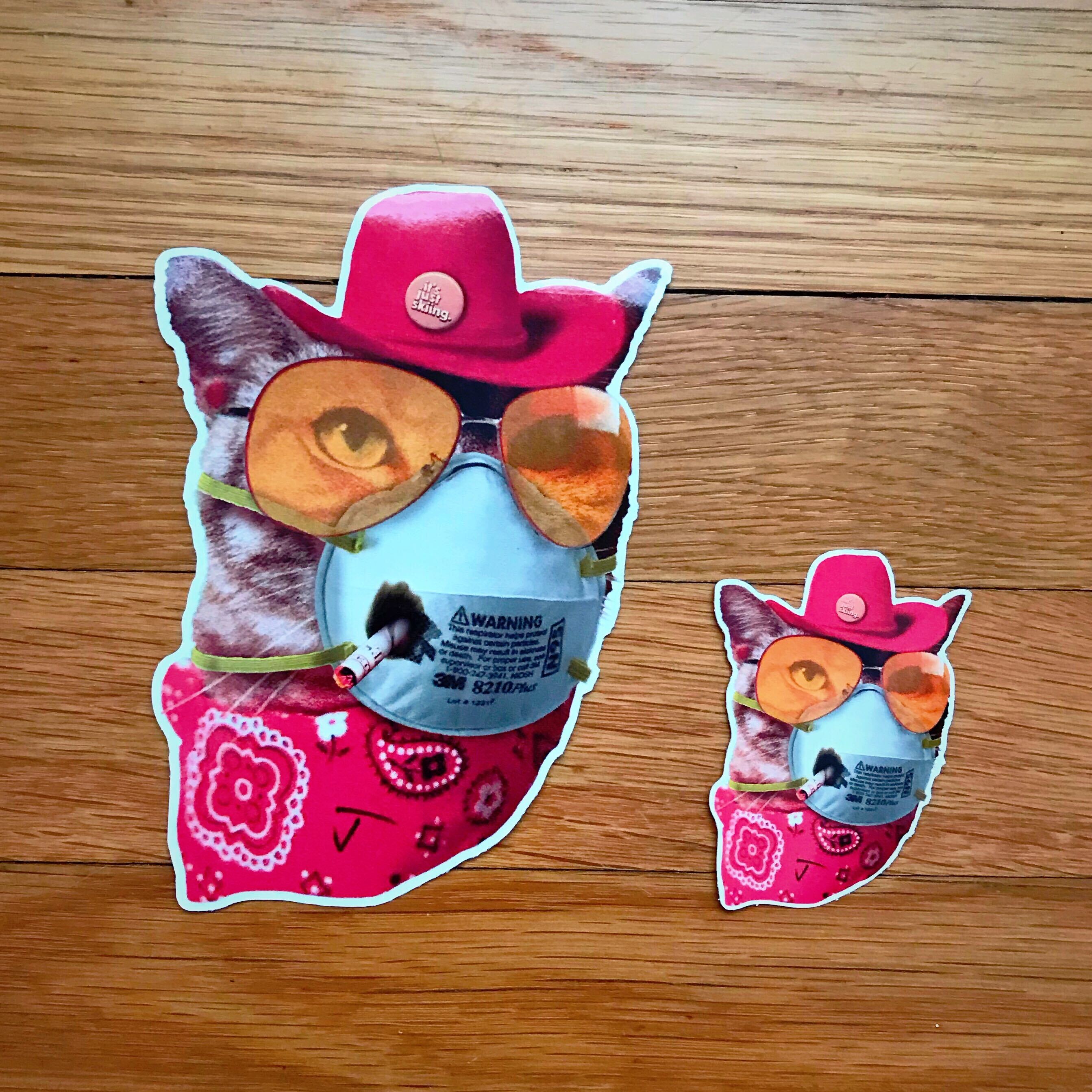 Cat Mask Sticker