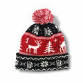Holiday Pom Beanie FREE (discount applied below)