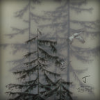 The Metal "LONE PINE" Brooks Salzwedel x J Collab Limited Edition Ski