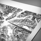 Exposure Trees Photo