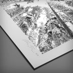 Exposure Trees Photo