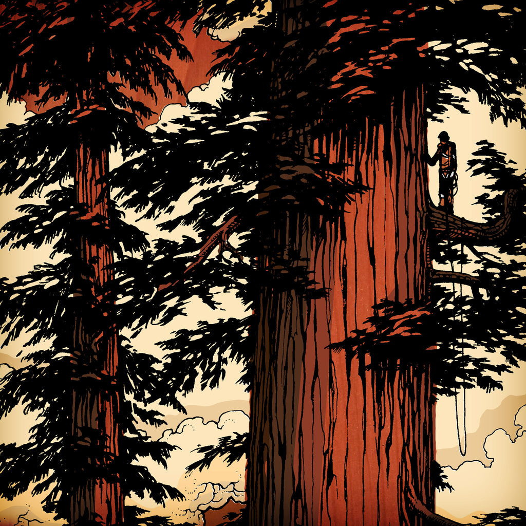 The Friend "PIONEER CABIN" Adam Haynes x J Collab Limited Edition Ski