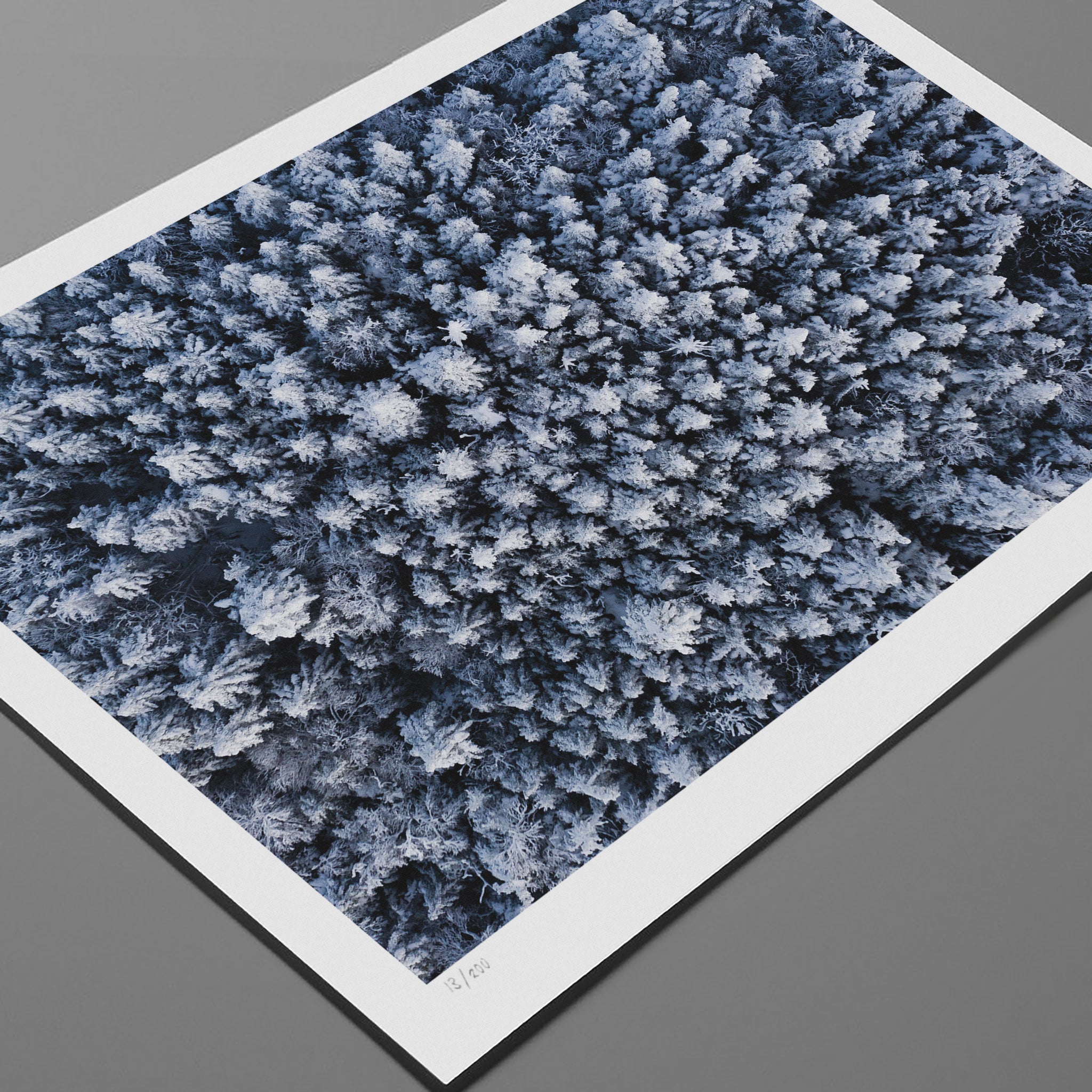 Mansfield Photo Print