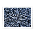 Mansfield Photo Print