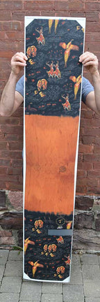 Ski Topsheet Graphic