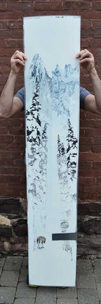 Ski Topsheet Graphic