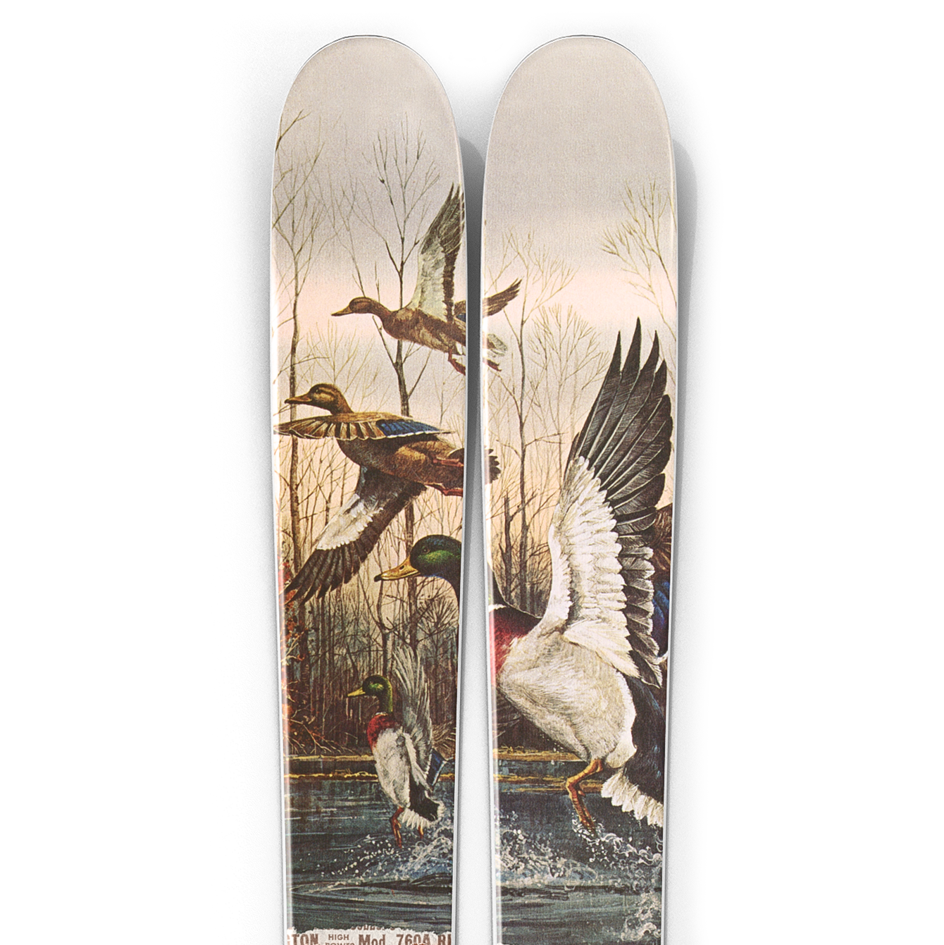 VACATION "MALLARD" BLEMISH