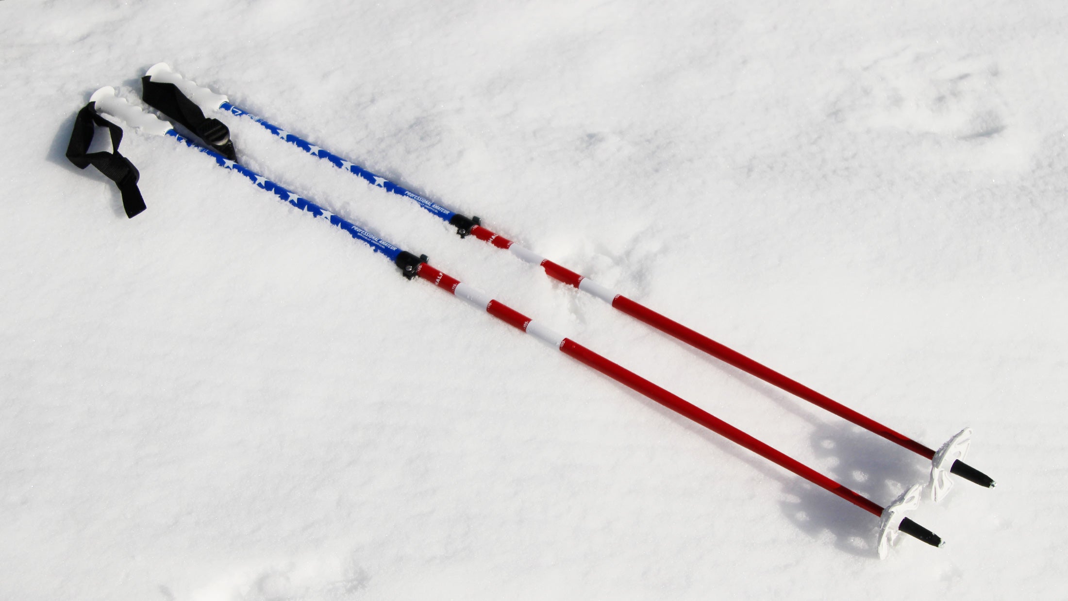 Wizard Staff Adjustable Ski Poles