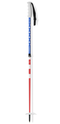 Wizard Staff Adjustable Ski Poles "Flag Pole"