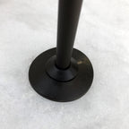 Titanal Ski Poles