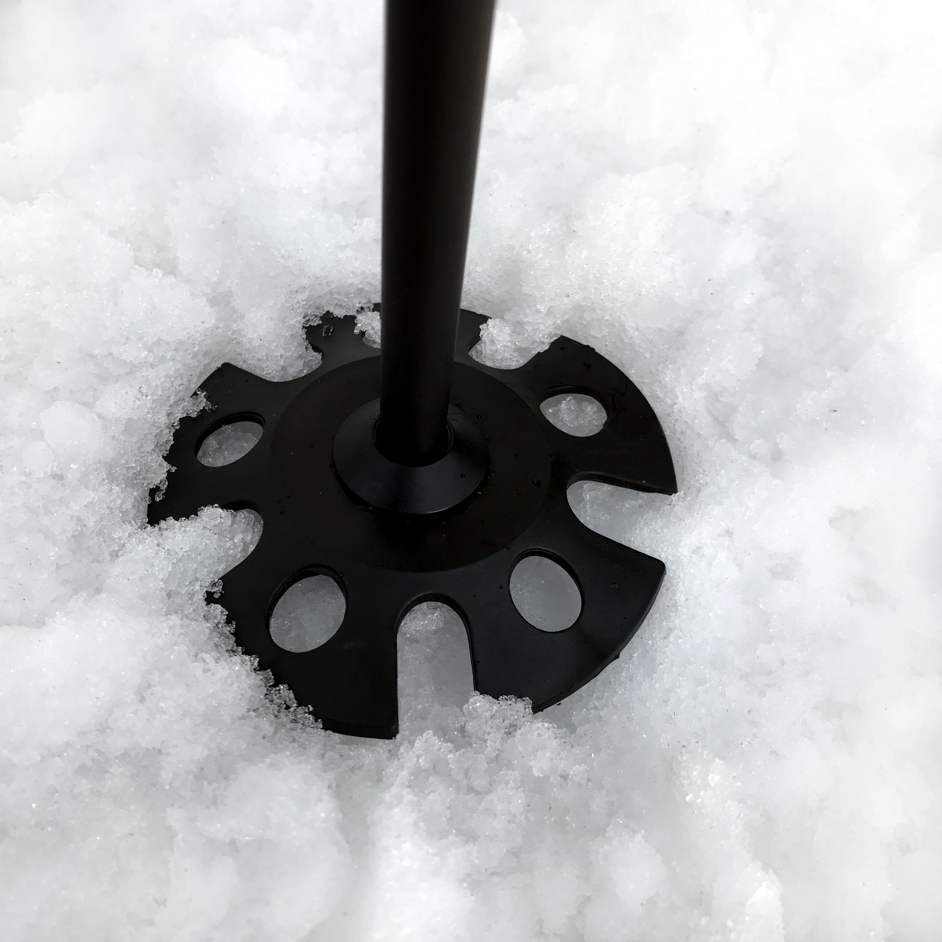 Titanal Ski Poles
