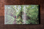 Monumental Coffee Table Book