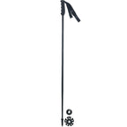 Titanal Ski Poles